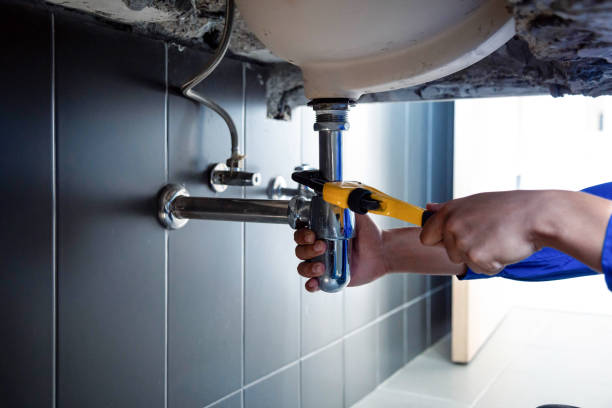 Best Commercial Plumbing Services  in Goodman, MO